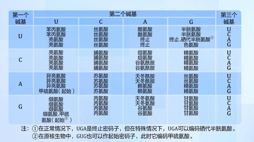 生物识别：科技前沿的身份密码