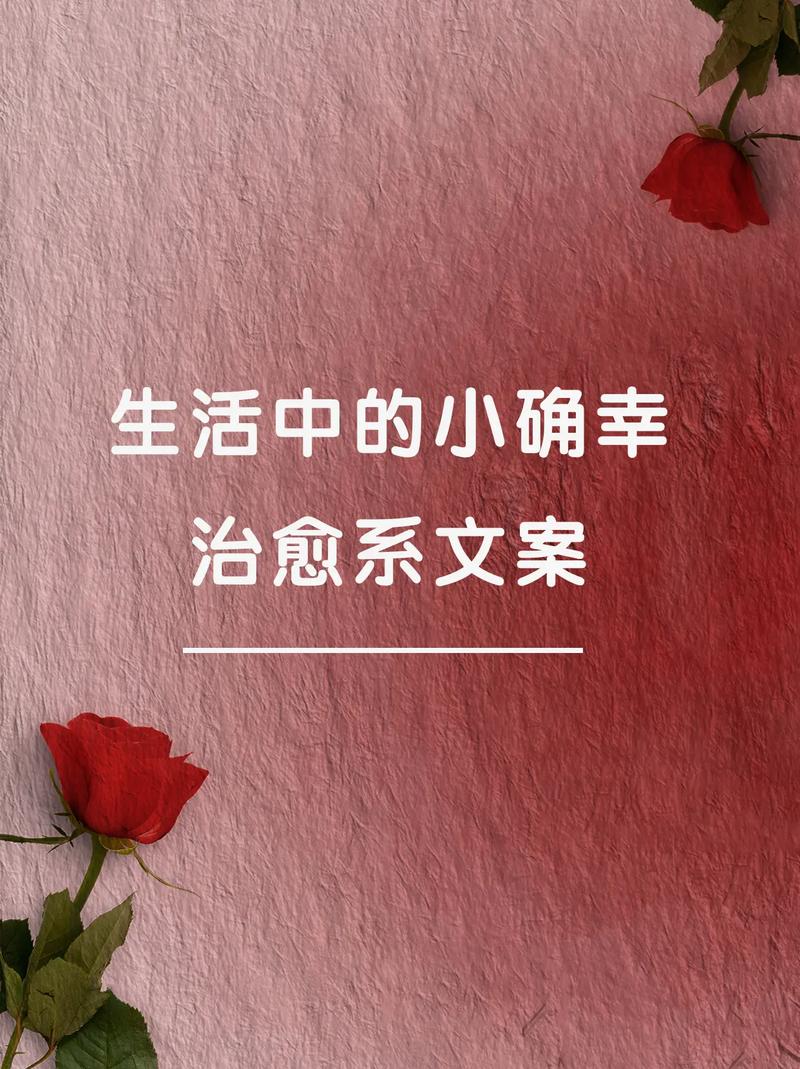 微小幸福关注：那些藏在生活缝隙中的温暖
