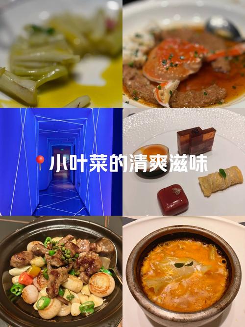 探寻菜品清爽度背后的多元魅力