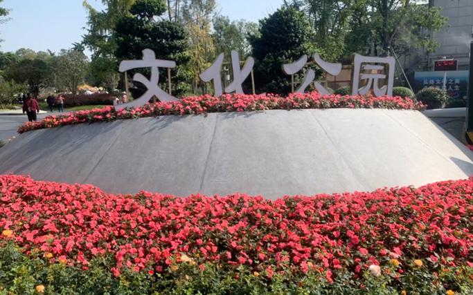 成都文化宫：职工群众的文化乐园与精神家园