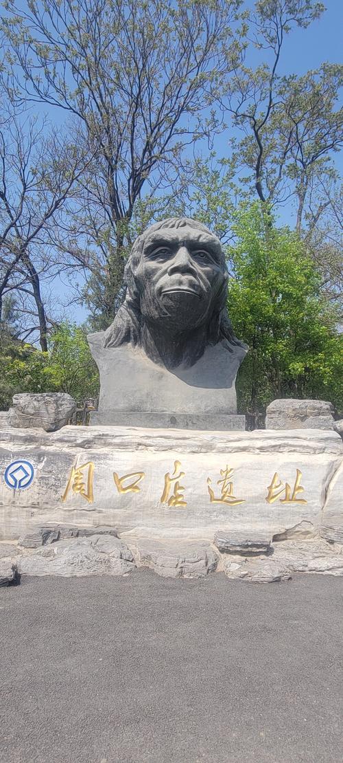 详细阅读:周口店北京人遗址:穿越时空的人类记忆 周口店北京人遗址:穿越时空的人类记忆