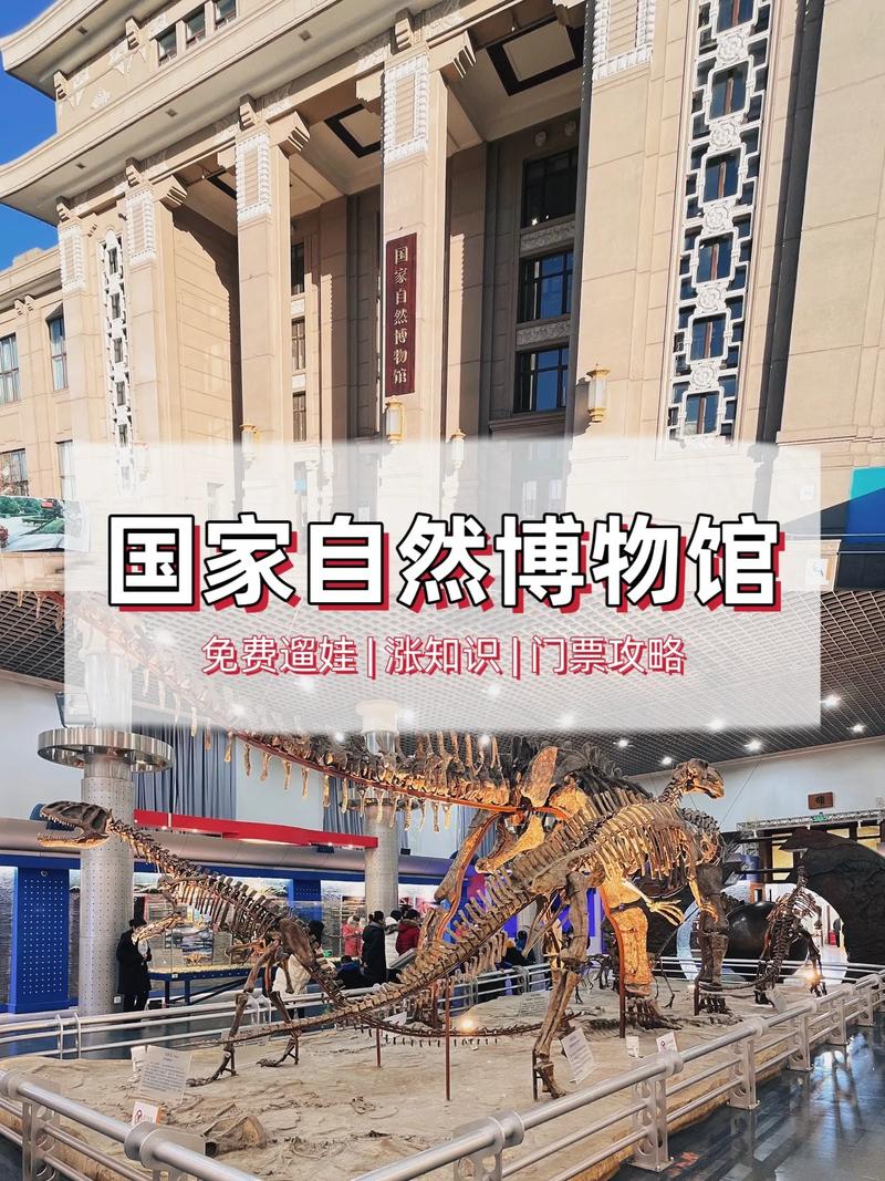 探索自然奥秘的殿堂——北京自然博物馆