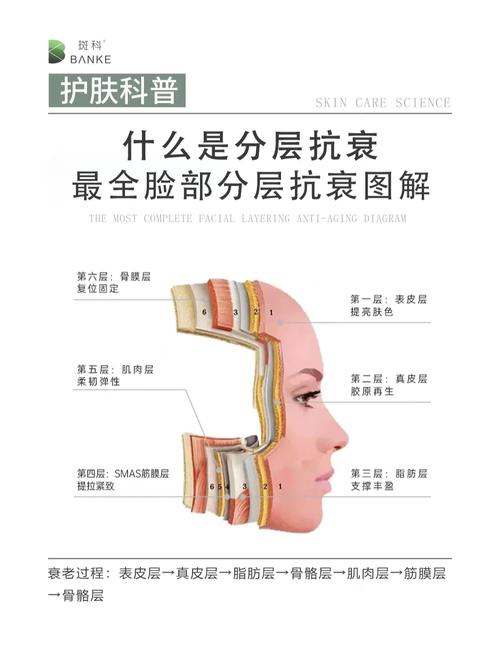 面部抗皱：科学方法与日常护理全攻略