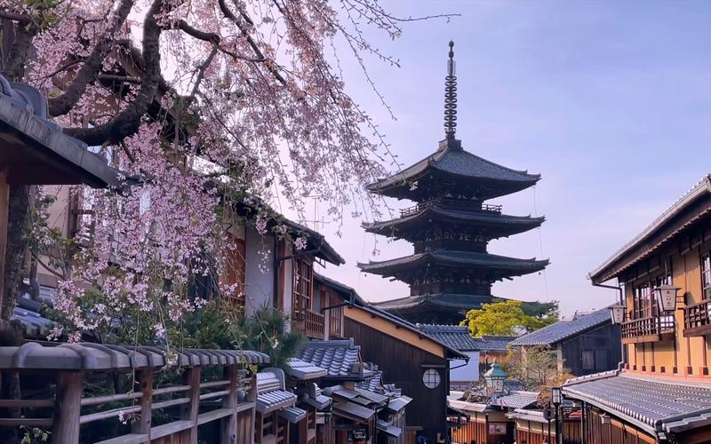 京都樱花季：穿越时空的浪漫之旅