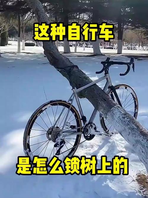 详细阅读:自行车锁:守护爱车的忠诚卫士 自行车锁:守护爱车的忠诚卫士