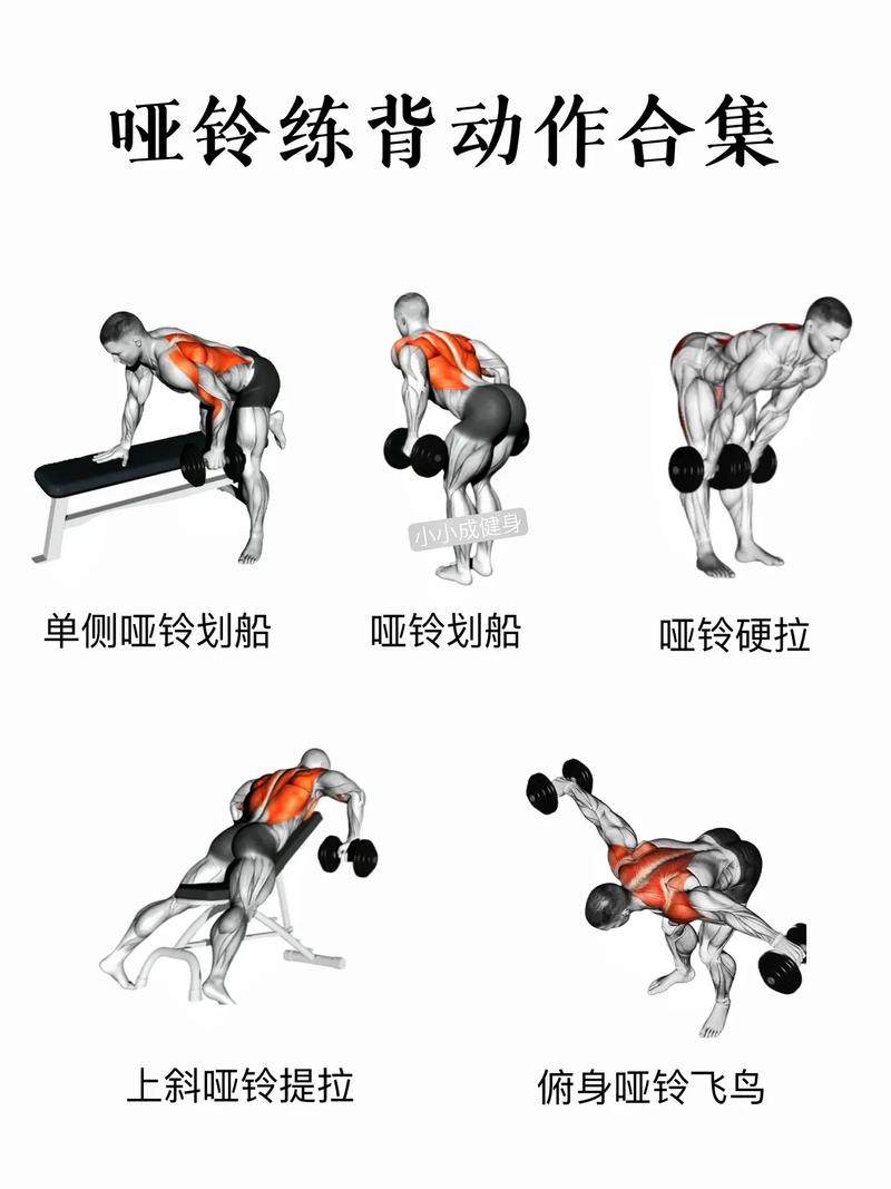 详细阅读:哑铃训练方法全解析:打造健康体魄与理想身材 哑铃训练方法全解析:打造健康体魄与理想身材