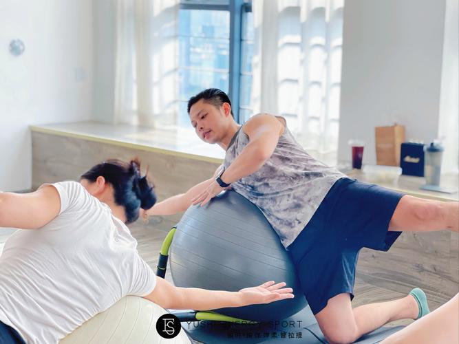 普拉提球：健身新宠，解锁多元锻炼体验