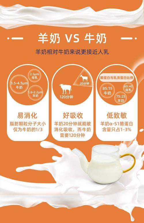 午餐奶：营养与美味的双重选择