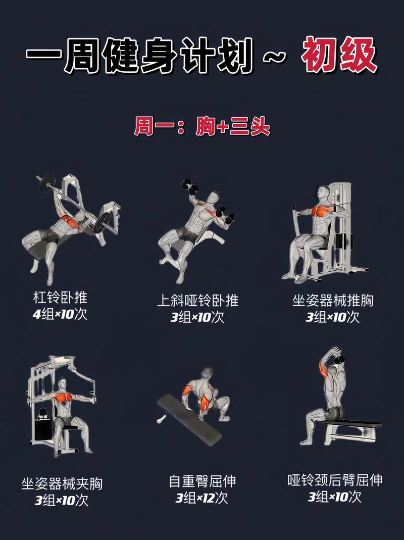 全方位力量训练计划：重塑身体与意志