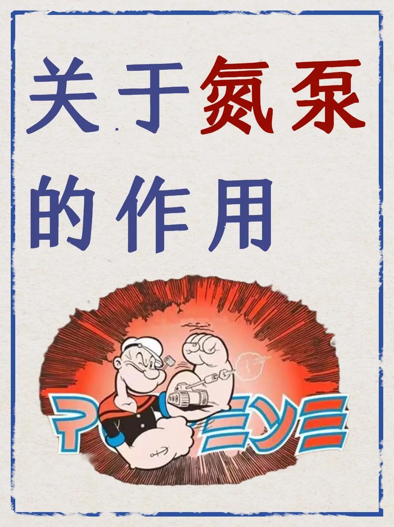 氮泵：探索其在多个领域的奥秘与应用