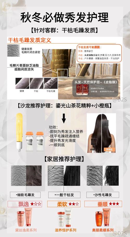 头发护理全攻略：必备工具大揭秘，解锁秀发魅力密码
