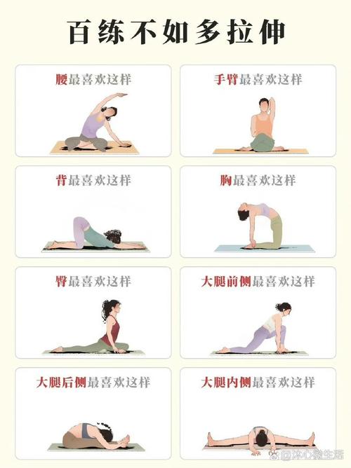拉伸动作：解锁身体柔韧性与健康活力的密码