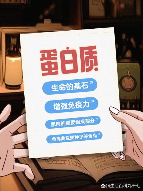 蛋白质：生命的基石与奥秘探索