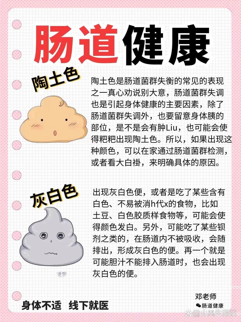 便常规：肠道健康的“侦察兵”