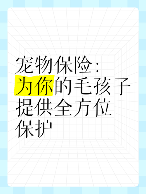 宠物保险选购全攻略：给毛孩子贴心保障
