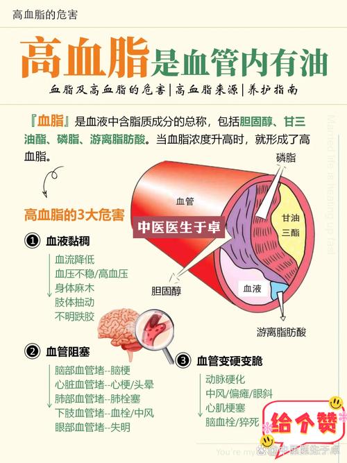 血脂：血液中的脂肪与健康的隐形关联