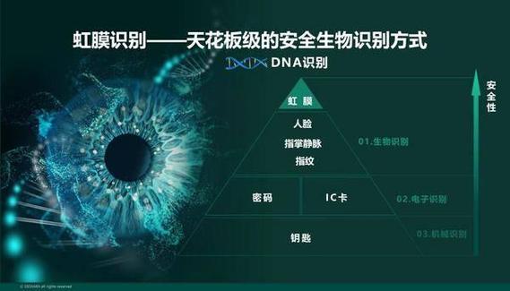 虹膜识别技术：开启安全便捷身份认证新时代