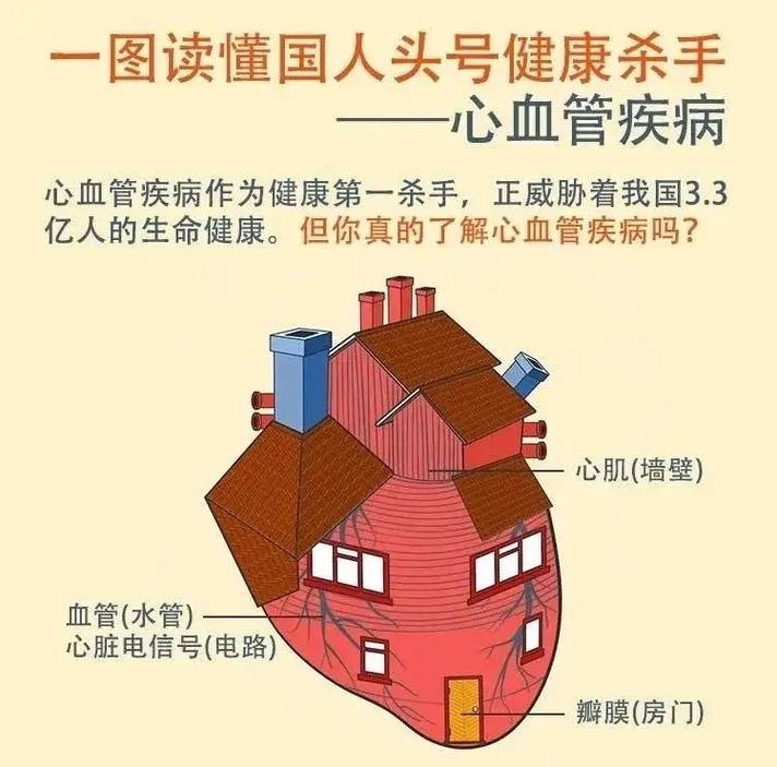 心血管疾病：威胁生命健康的“隐形杀手”