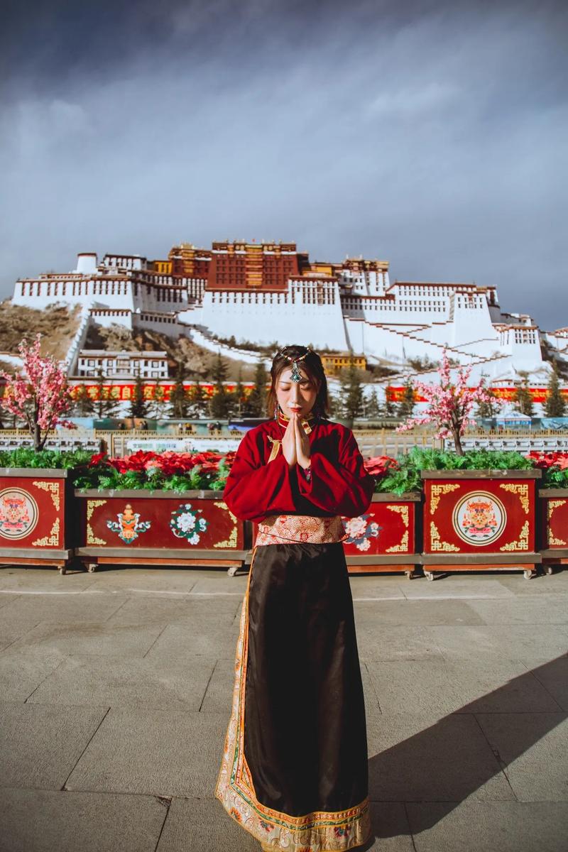 拉萨布达拉宫朝拜：一场心灵与文化的深度之旅