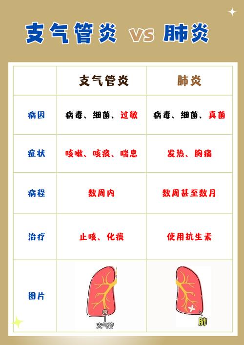 支气管炎：病因、症状、诊断与防治全解析