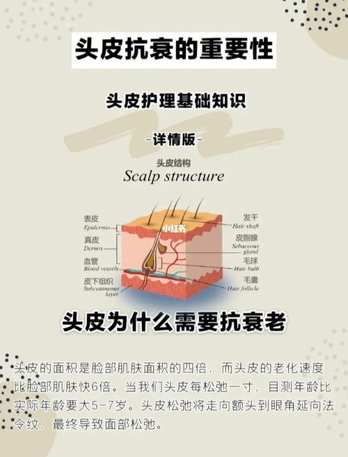 头发护理与头皮炎症：产品选择及护理要点全解析