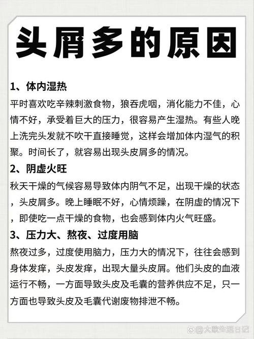 头发护理：头皮屑成因全解析与应对策略