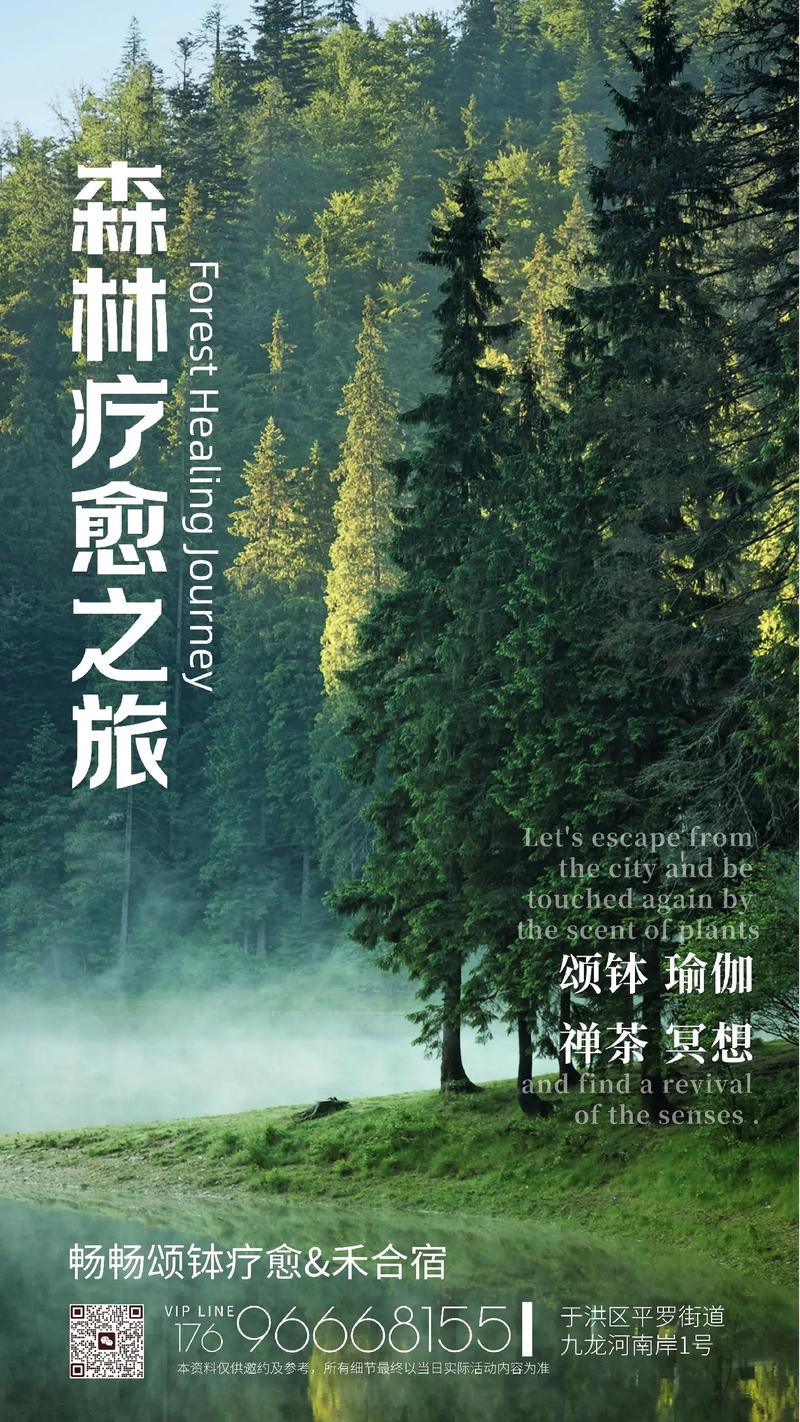 森林浴：自然中的身心疗愈之旅