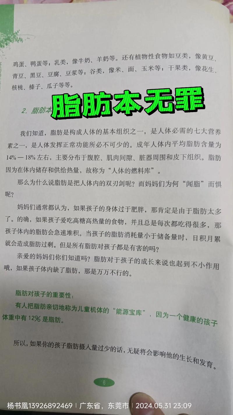 脂肪：人体的“能量宝库”与健康“双刃剑”