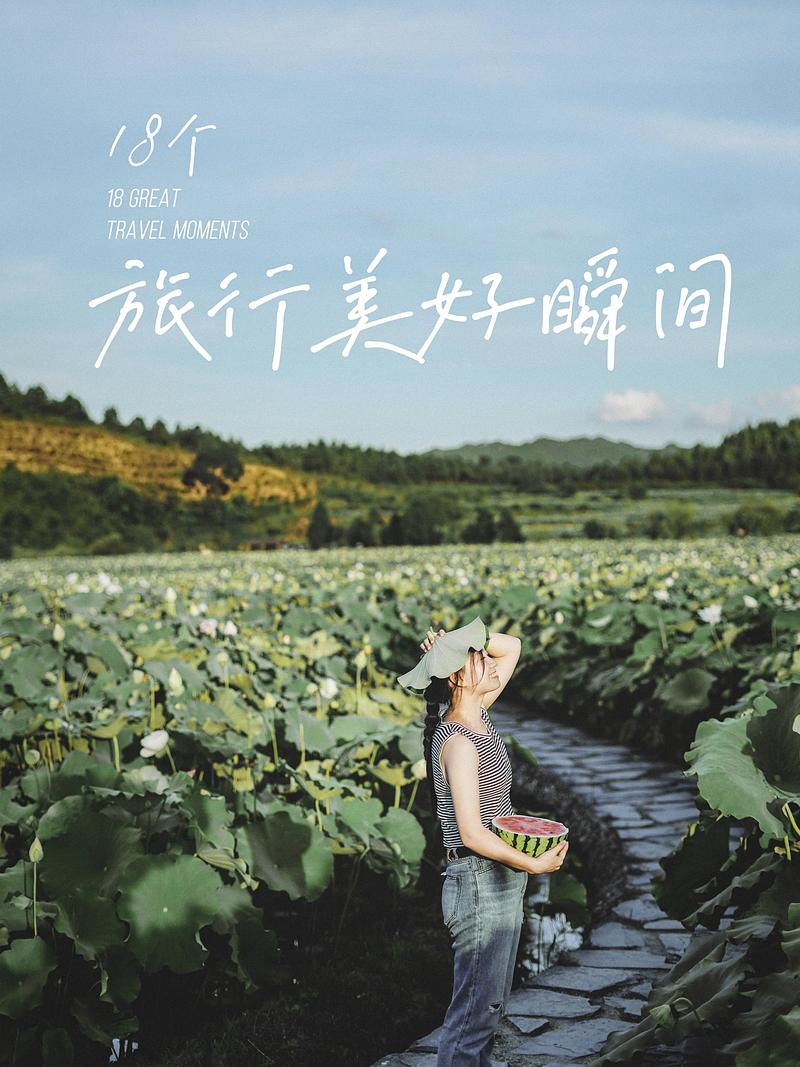旅行摄影技巧：捕捉旅途中的美好瞬间