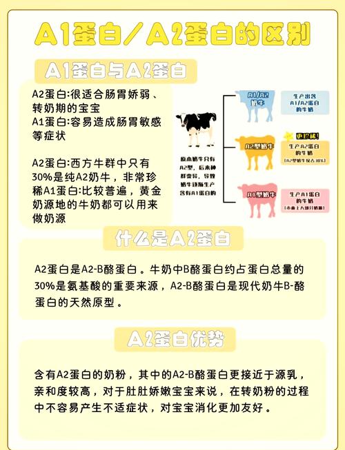 儿童成长奶粉：助力孩子健康成长的营养密码