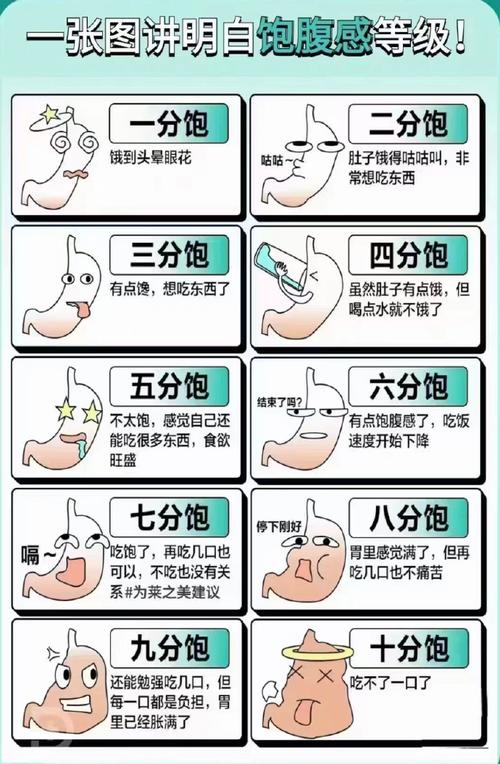 饱腹感的奥秘：从生理到心理的深度探索