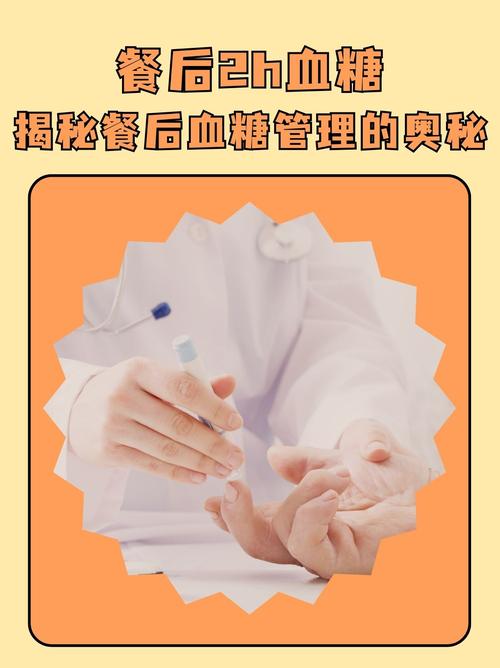 详细阅读:探索血糖奥秘:从基本概念到健康管理的全面解析 探索血糖奥秘:从基本概念到健康管理的全面解析