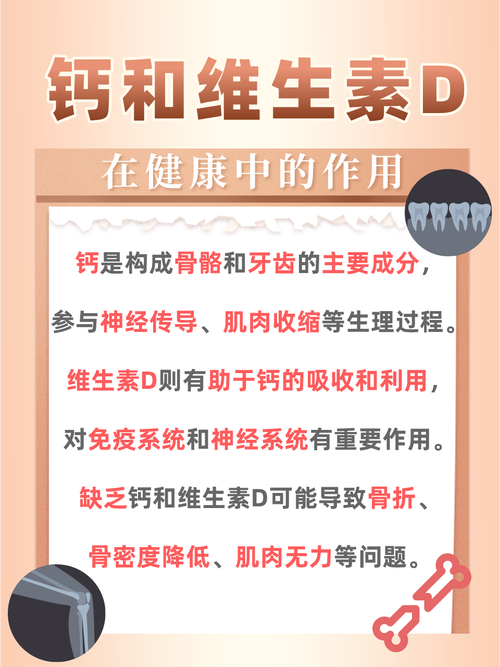 钙与维生素D：骨骼健康的黄金搭档