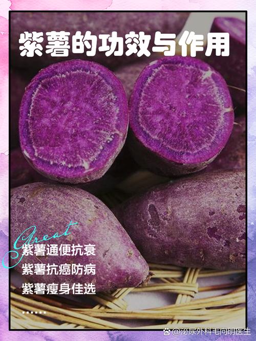 详细阅读:以下是一份围绕“紫薯末”展开的较为详细的内容: 以下是一份围绕“紫薯末”展开的较为详细的内容: