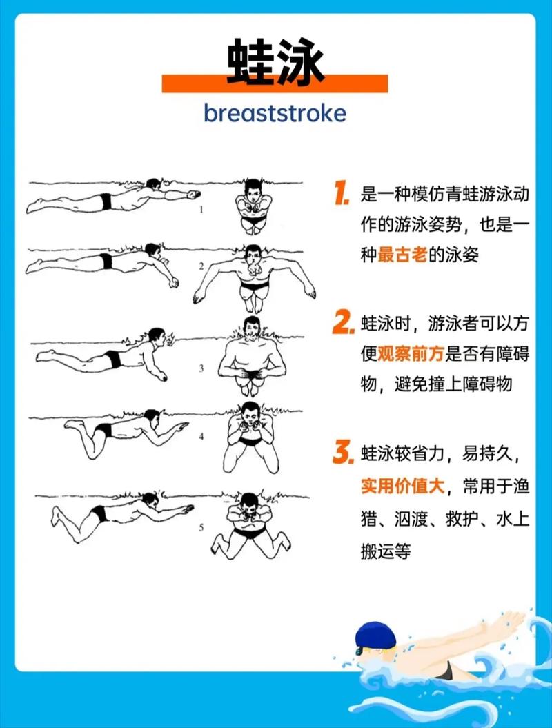蛙泳：畅游池中的优雅与技巧