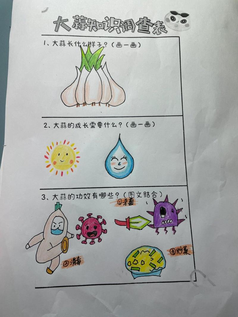 详细阅读:大蒜的奇妙变身:大蒜末的独特魅力与多样用途 大蒜的奇妙变身:大蒜末的独特魅力与多样用途