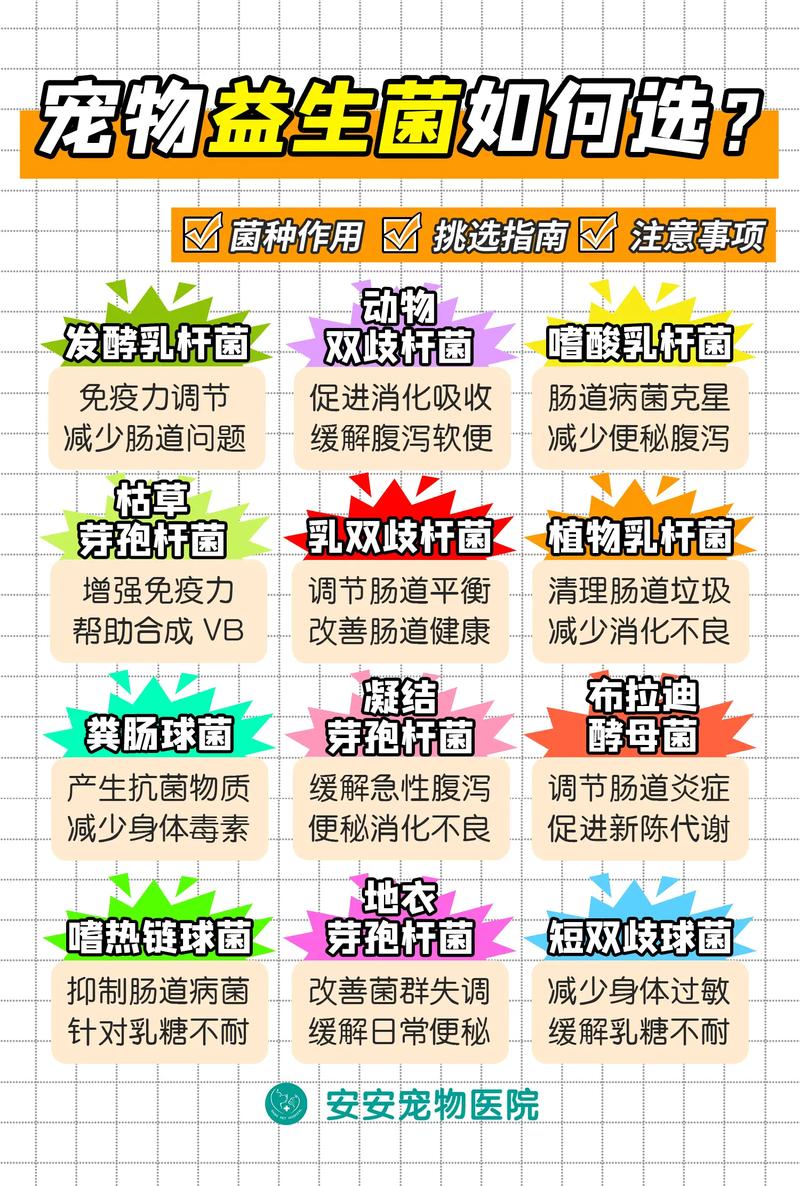益生菌：美容新宠，内外兼修的美丽秘诀