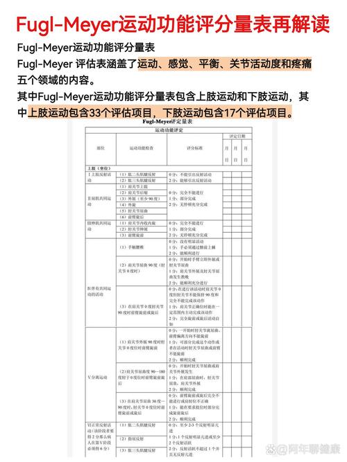 运动康复效果的多维评估与实践
