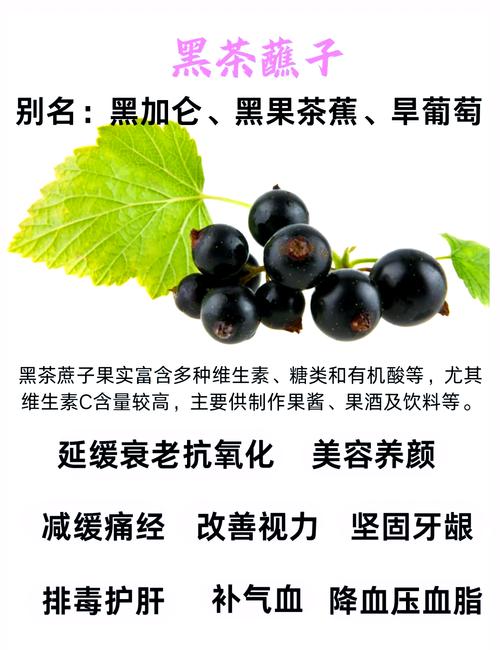 详细阅读:黑加仑末:自然馈赠的健康宝藏 黑加仑末:自然馈赠的健康宝藏