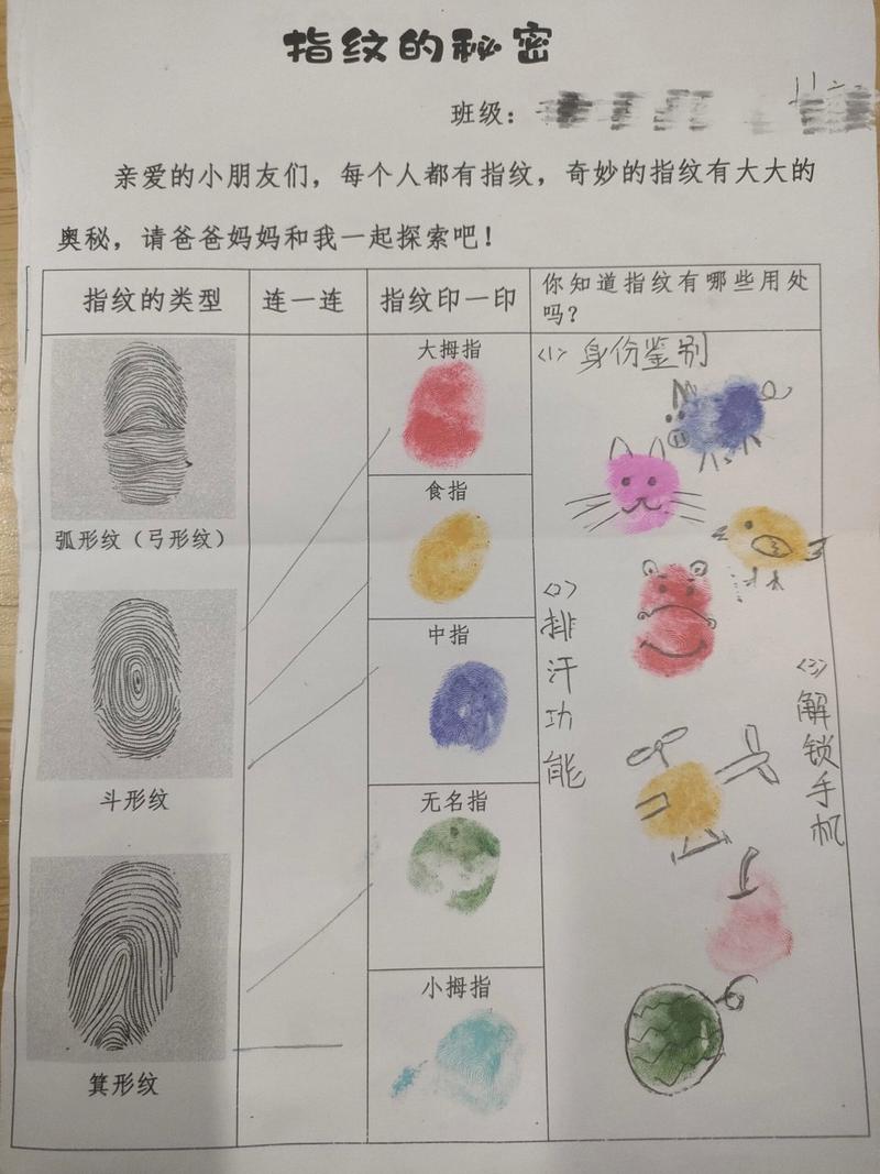 指纹识别：解锁生物特征识别的奥秘与应用