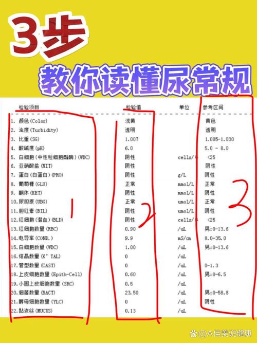 尿常规检查：窥探人体健康的“晴雨表”
