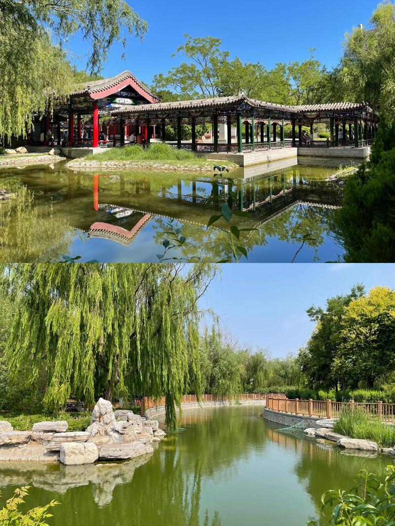园博风采：北京与重庆的绿色明珠
