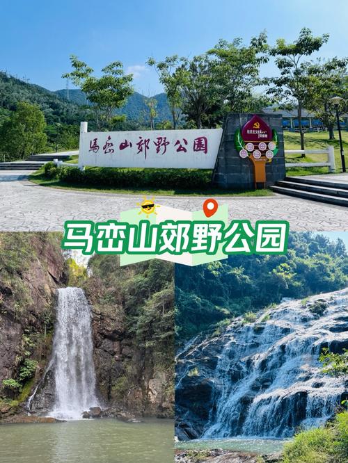 探秘马峦山郊野公园：城市绿洲中的自然奇境之旅