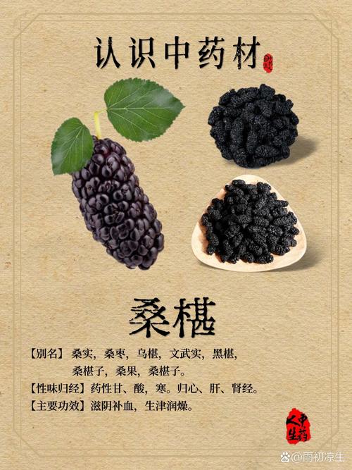 详细阅读:桑葚末:自然馈赠的养生珍宝 桑葚末:自然馈赠的养生珍宝