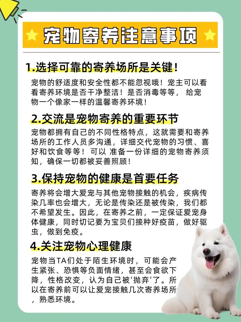 详细阅读:宠物寄养:让您的爱宠在温馨呵护中安心等待 宠物寄养:让您的爱宠在温馨呵护中安心等待