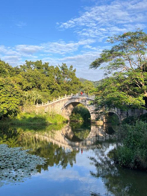 深圳东湖公园：城市绿肺，休闲胜地