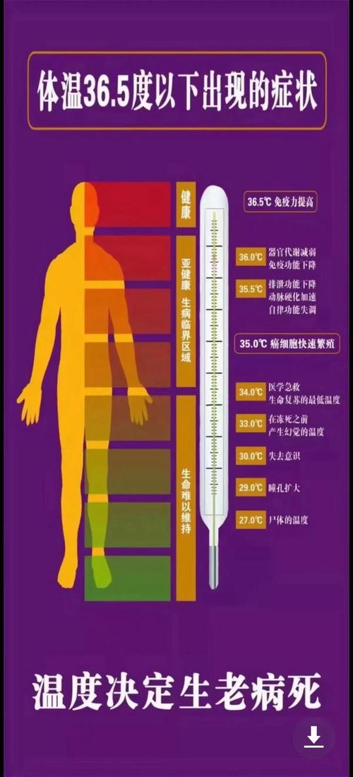 体温：生命的内在韵律与健康密码