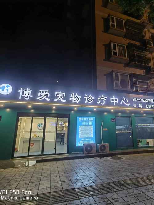 详细阅读:宠物医院:守护毛孩子的健康家园 宠物医院:守护毛孩子的健康家园