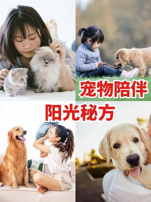详细阅读:宠物,生活中的温暖陪伴与无尽快乐之源 宠物,生活中的温暖陪伴与无尽快乐之源