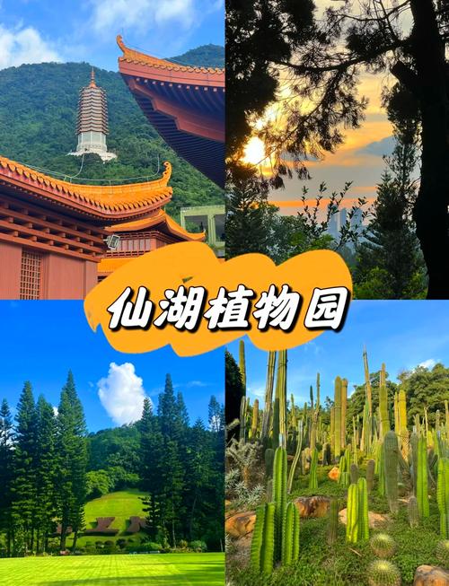 探秘仙湖植物园：自然与科学的完美交融之旅